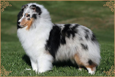 Royal Hills Alex Marie