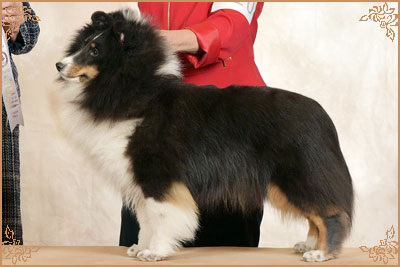 Royal Hills Precious Gem