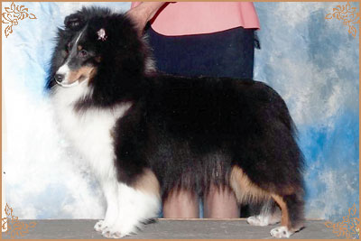 Royal Hills Precious Gem