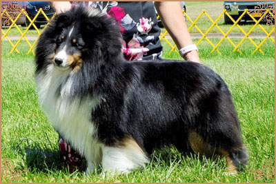 Royal Hills Precious Gem