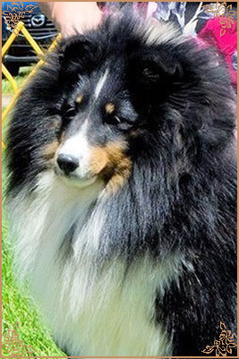 Royal Hills Precious Gem