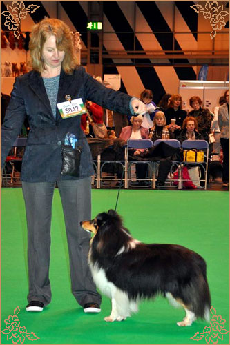 Shemist Black Wizard