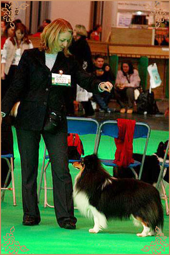 Shemist Black Wizard