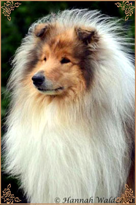 Chantique Huggy Bear for Tiganlea