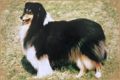 Coarhabeg Gentle Zephyr
