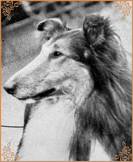 Defender of Dunsinane