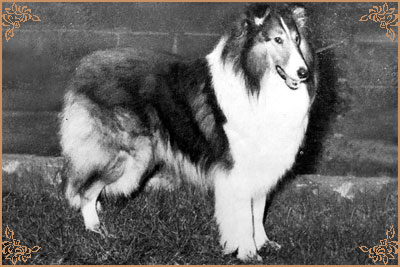Dunsinane Alaric of Arranbeck
