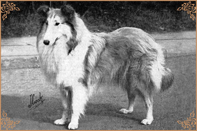 Girley of Whitelea