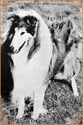 Glenmist Golden Legacy, Crufts Winners