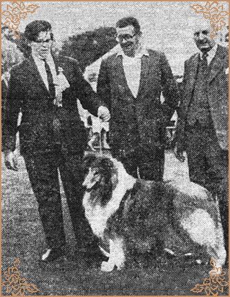 Glenmist Golden Legacy, Crufts Winners