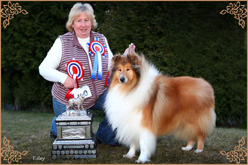 Jopium Touch Of Soul for Triburle, Crufts Winners