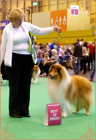 Jopium Touch Of Soul for Triburle, Crufts Winners