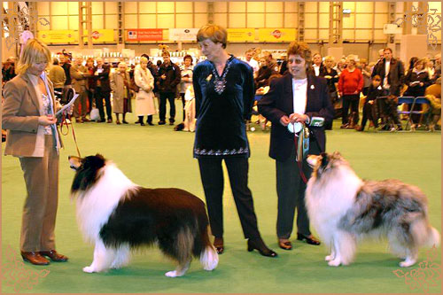 Karava Kempez, Crufts Winners