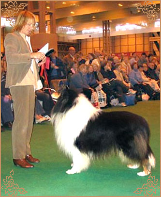 Karava Kempez, Crufts Winners