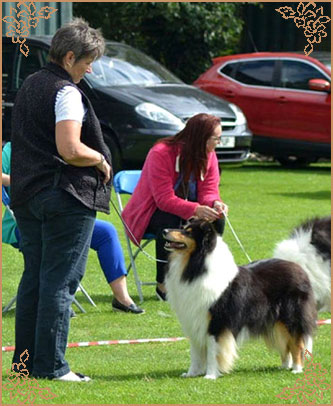 Ladnar Inkheart, Crufts Winners