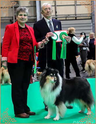 Ladnar Inkheart, Crufts Winners