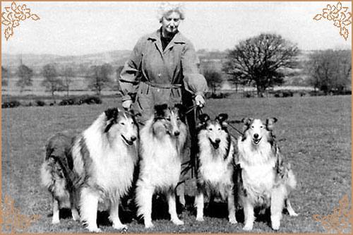 Lochinvar of Ladypark