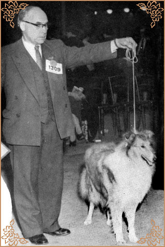Mywicks Mylady Fair, Crufts Winners