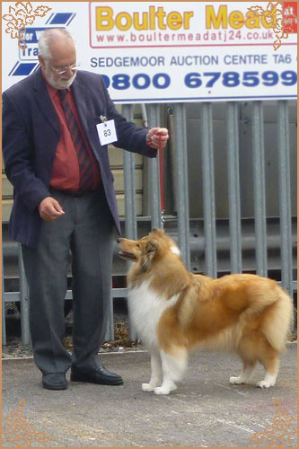 Prince Of Sunlight Naomi at Tremaro, Crufts Winners