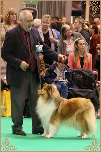 Prince Of Sunlight Naomi at Tremaro, Crufts Winners