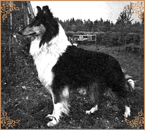 Rosita von Auerdorf