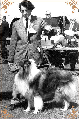 Rowdina Dramatic of Dunsinane, Crufts Winners