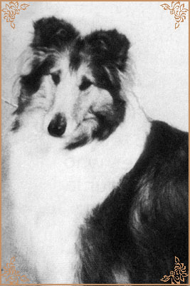 Sunnyhurst Sarene