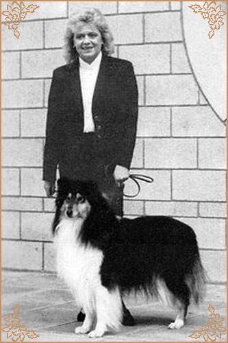 Tashadon Black Cherry, Crufts Winners