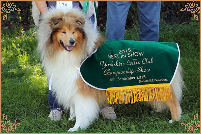 Telforth Tony, Crufts Winners