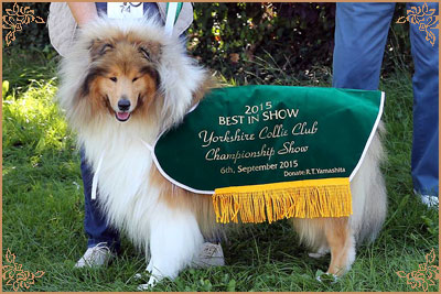 Telforth Tony, Crufts Winners