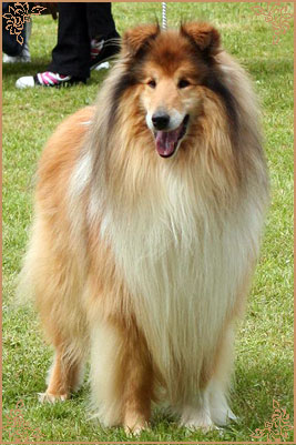 Thorgal Le Pacifique du Pre Luneau
