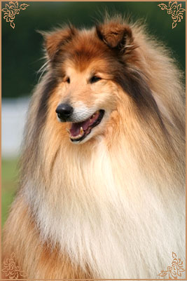 Thorgal Le Pacifique du Pre Luneau