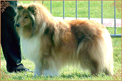 Valse De Vienne de Midland Valley