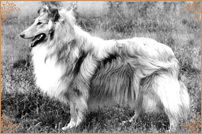 Винни Зоретта, Winnie Zoretta