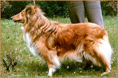 Винни Зоретта, Winnie Zoretta