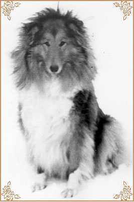 Винни Зоретта, Winnie Zoretta