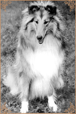 Винни Зоретта, Winnie Zoretta