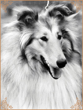 Винни Зоретта, Winnie Zoretta