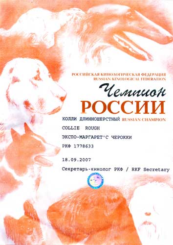 Чемпион России Ekspo-Margaret`s Cherokki