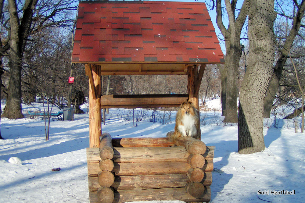 фигурки шелти, шелти, Черилдин Церенова