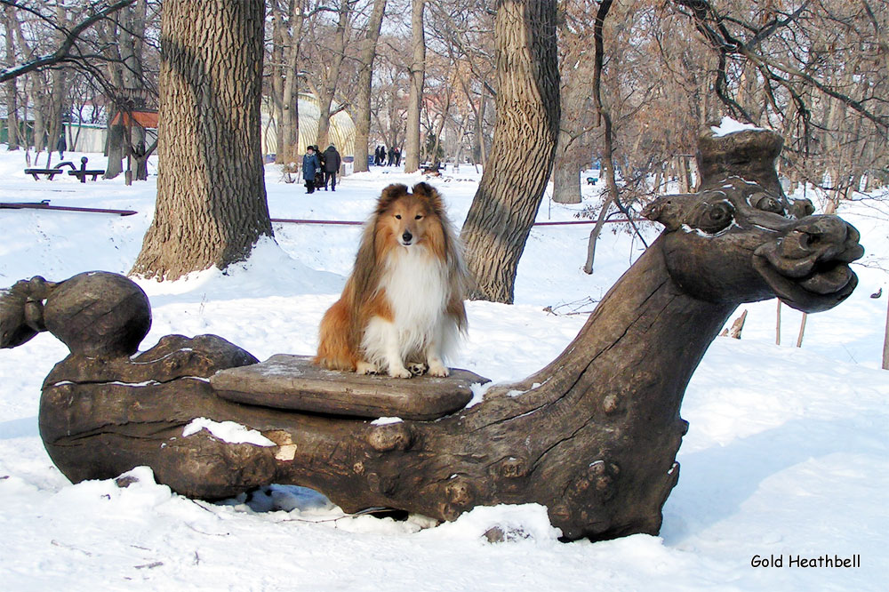 фигурки шелти, шелти, Черилдин Церенова