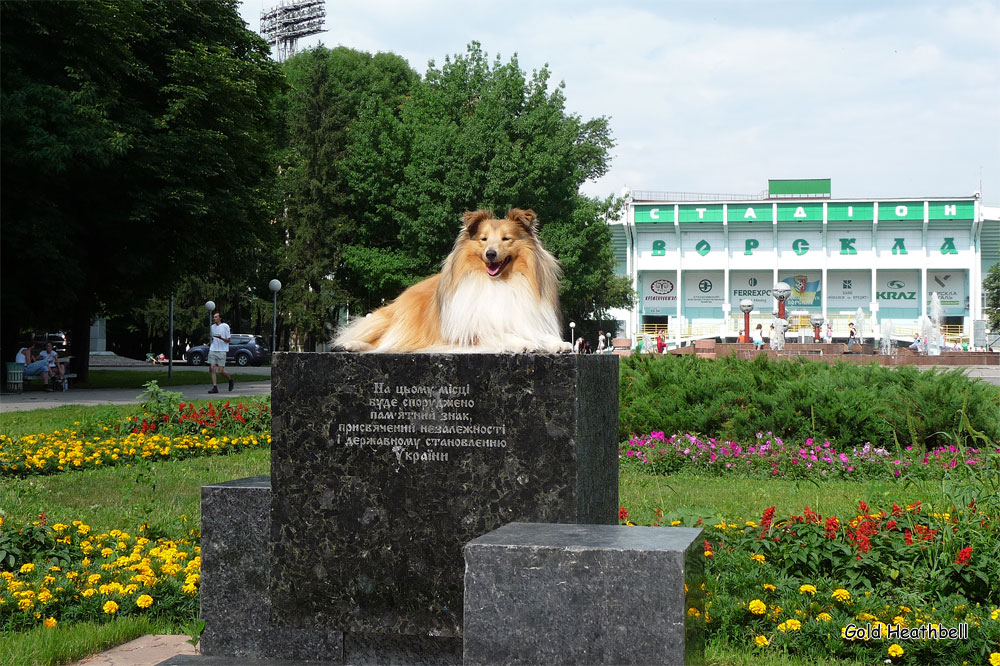 статуэтка шелти, шелти, Голд Хизбелл Борн Ту Би Хэппи