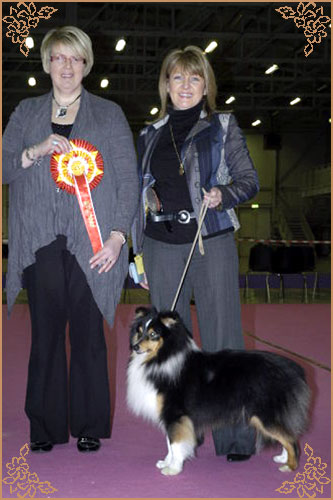 Daliyhaa Secret Weapon at Sevenoaks, Crufts Winners