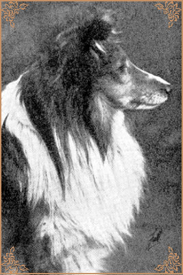 Delwood Terence